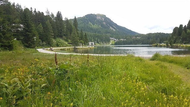 20190715_140520.jpg