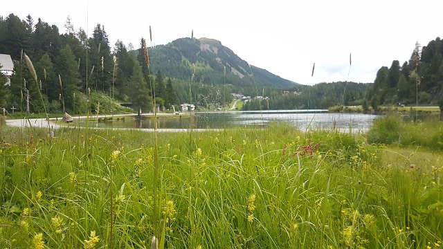 20190715_140546.jpg