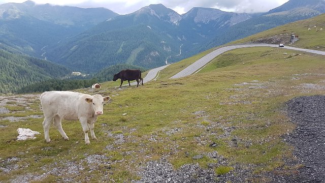 20190715_155305.jpg