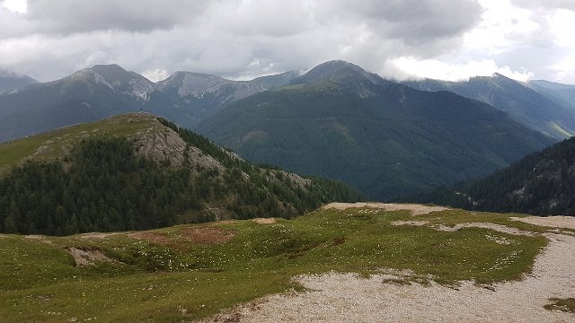 20190715_160023.jpg