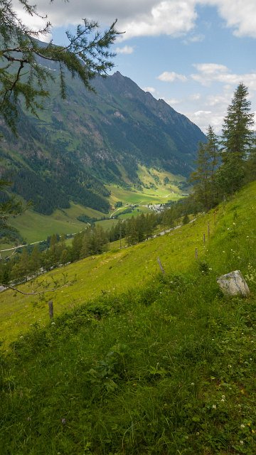20190716_153646a.jpg