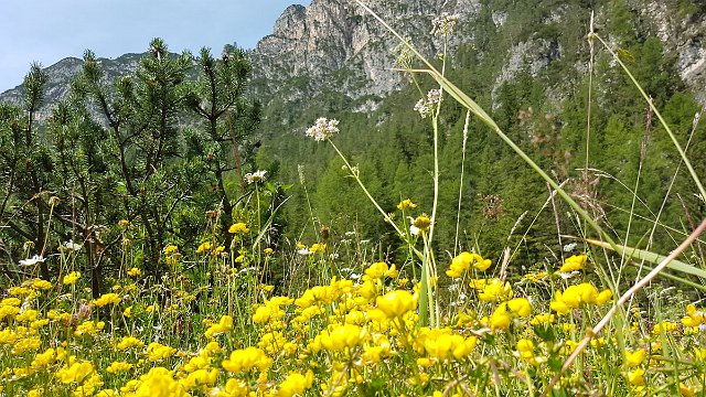 20190717_110617.jpg
