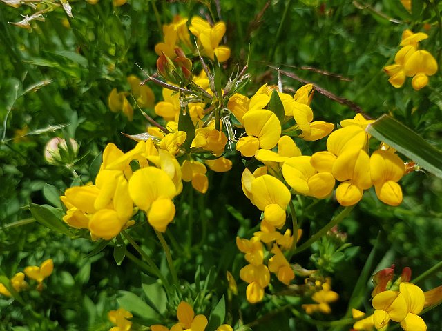 20190717_110816.jpg
