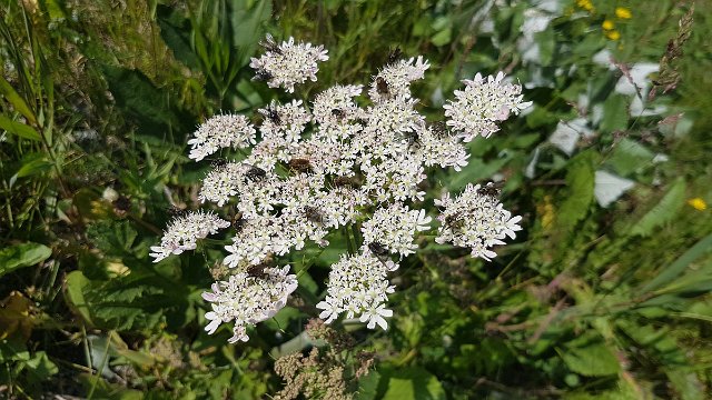 20190718_153026.jpg
