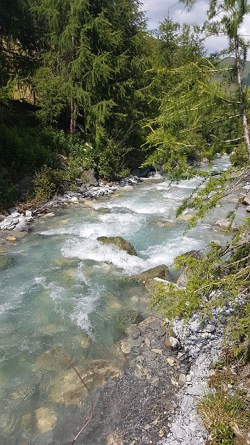 20190718_153217.jpg