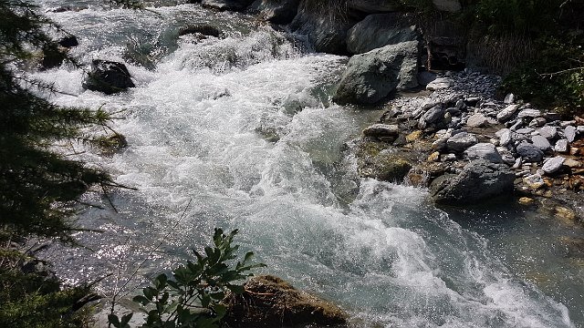 20190718_153348.jpg