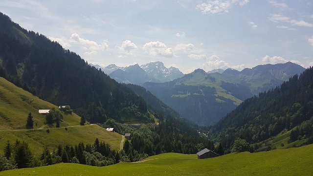 20190719_114534.jpg