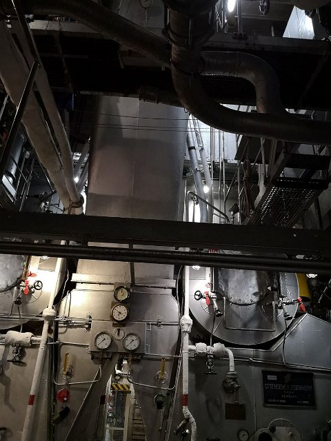 IMG_20191012_184926.jpg