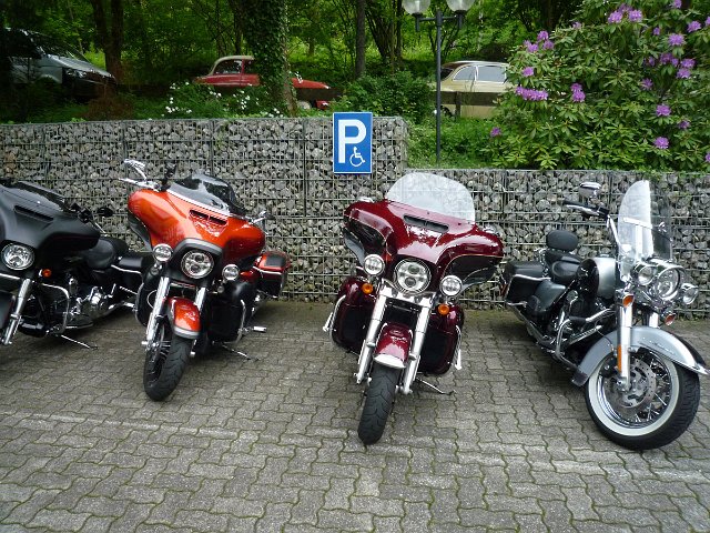 P1060564.jpg