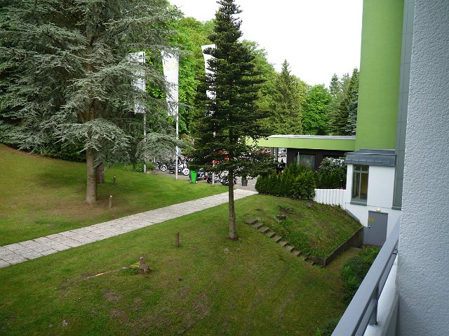 P1060566.jpg