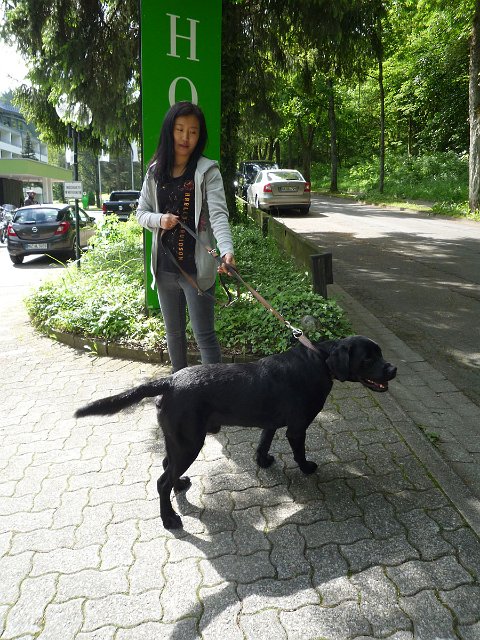 P1060578.jpg