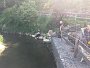 IMG-20190601-WA0016