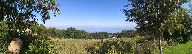 IMG_20190824_121304.jpg