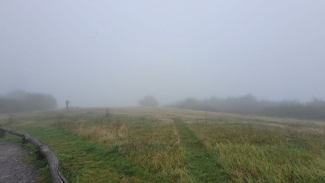 20210829_093129.jpg