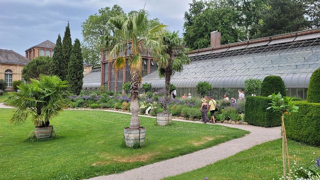 20210620_113540.jpg