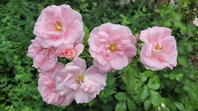 20210620_125504.jpg