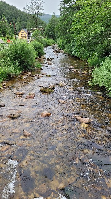 20210620_164744.jpg