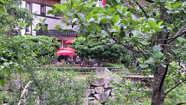 20210620_165302.jpg