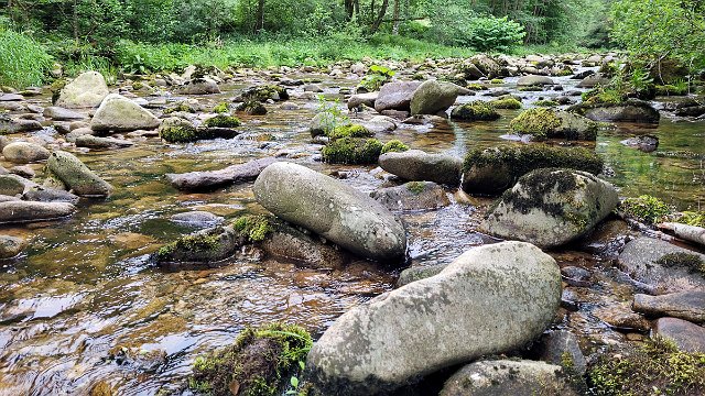 20210620_165835.jpg