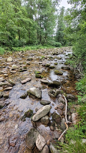 20210620_165844.jpg