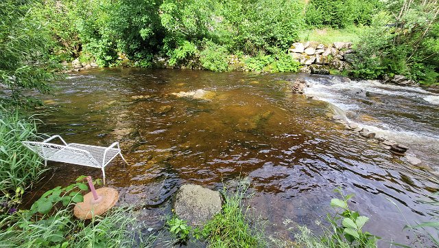 20210621_084643.jpg