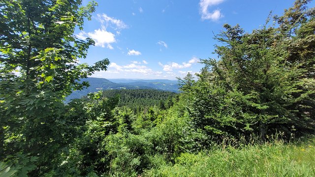 20210621_120629.jpg