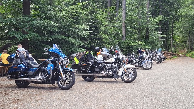 20210621_130536.jpg