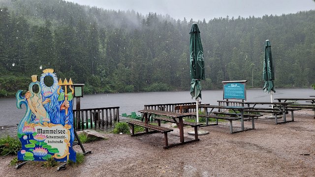 20210622_133828.jpg