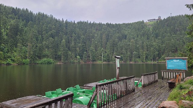 20210622_134245.jpg