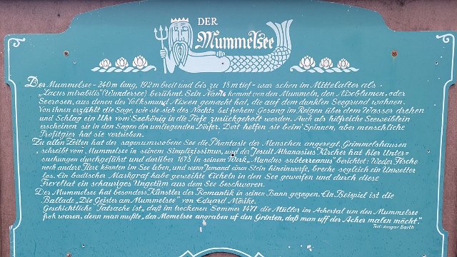 20210622_134304.jpg