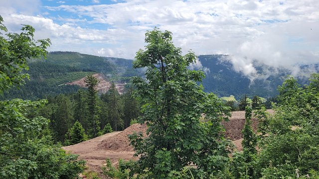 20210622_135713.jpg
