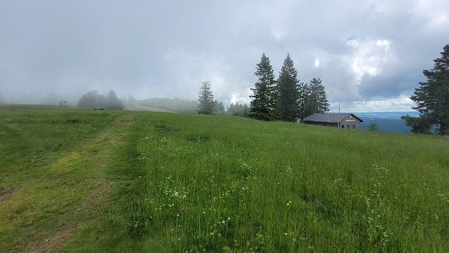 20210623_114614.jpg