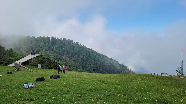 20210623_115155.jpg