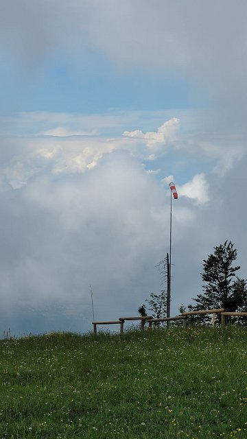 20210623_115608.jpg