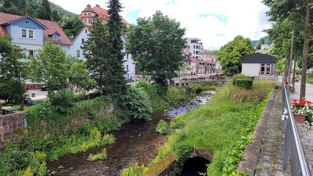 20210624_113457.jpg