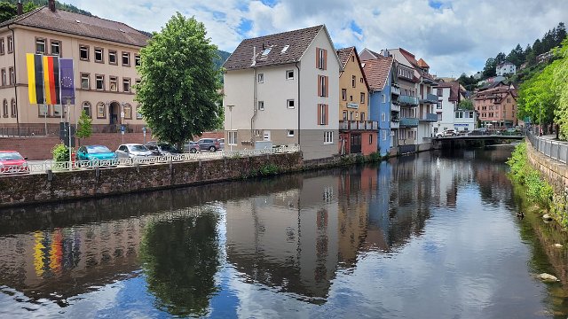 20210624_113739.jpg