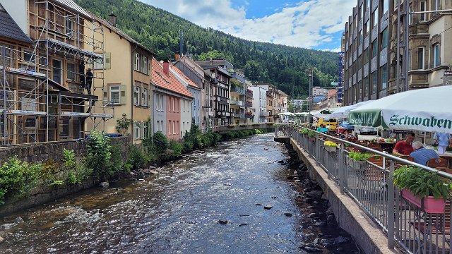 20210624_120949.jpg