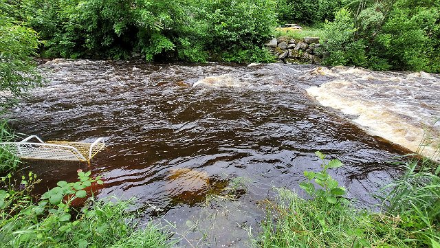 20210625_090435.jpg