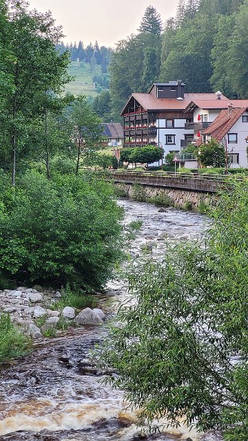 20210625_204346.jpg