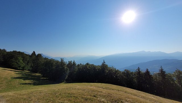 20220703_082154.jpg
