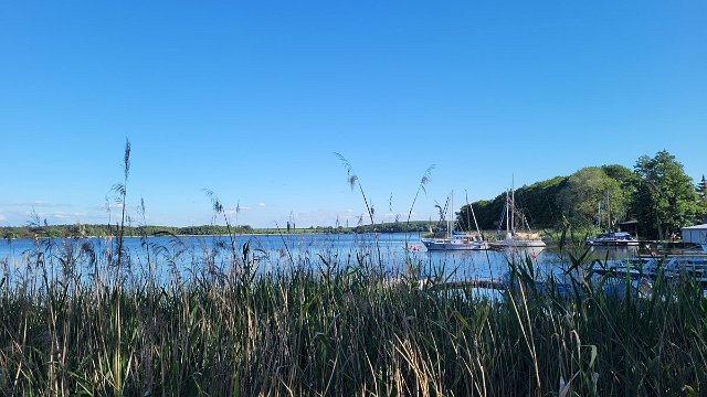 20220616_182056.jpg