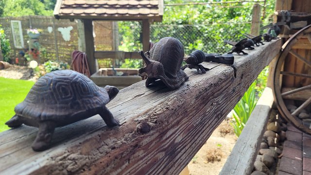 20220617_125308.jpg