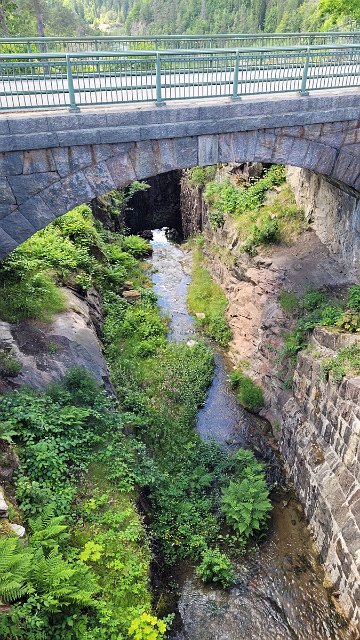 20220620_120414.jpg