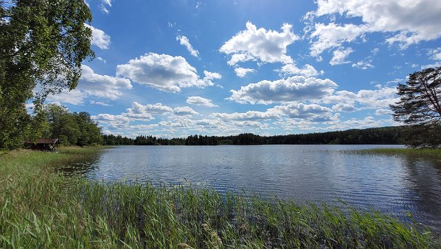 20220621_143224.jpg