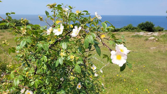 20220625_124053.jpg