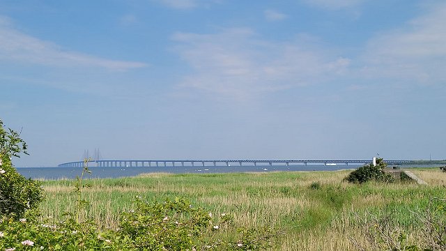 20220626_100704.jpg