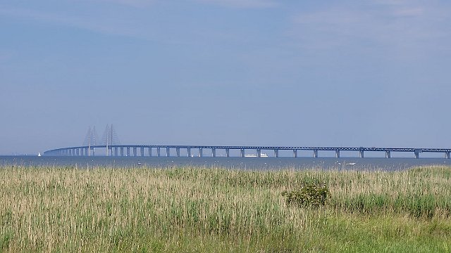 20220626_101129.jpg