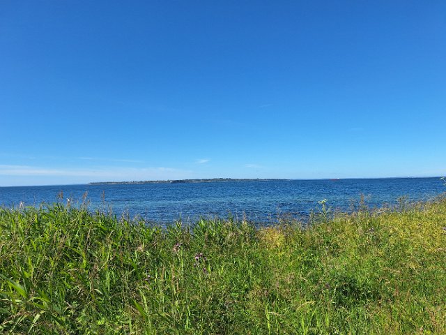 20240620_105056.jpg