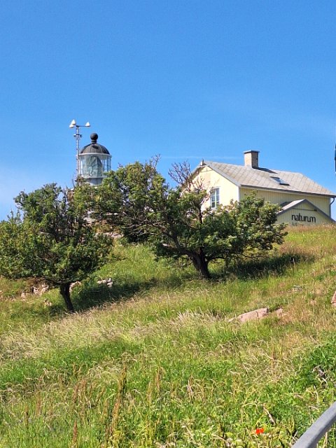 20240621_102218.jpg