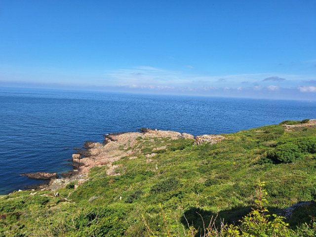 20240621_102504.jpg